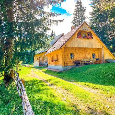 Chalet Ivi Villa Zgornje Gorje Esterno foto