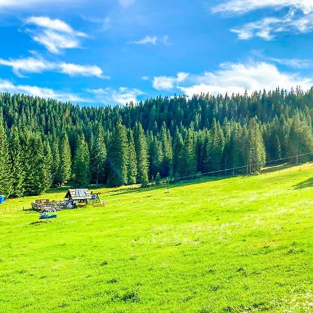 Chalet Ivi Villa Zgornje Gorje Esterno foto