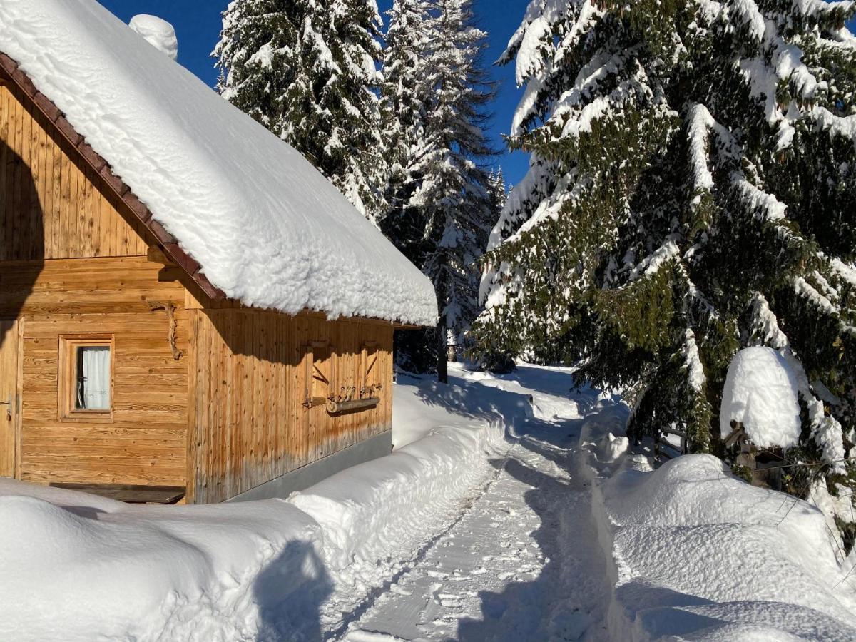 Chalet Ivi Villa Zgornje Gorje Esterno foto