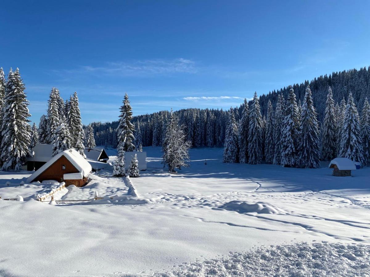 Chalet Ivi Villa Zgornje Gorje Esterno foto