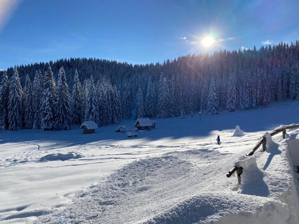 Chalet Ivi Villa Zgornje Gorje Esterno foto