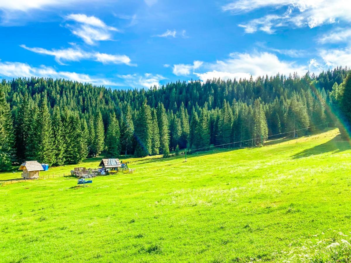 Chalet Ivi Villa Zgornje Gorje Esterno foto